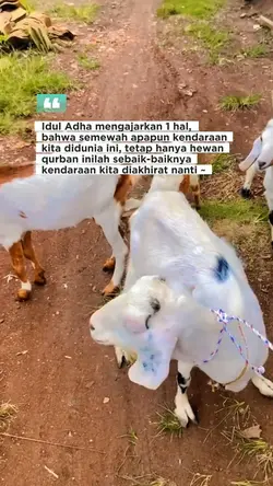 kendaraan akhirat