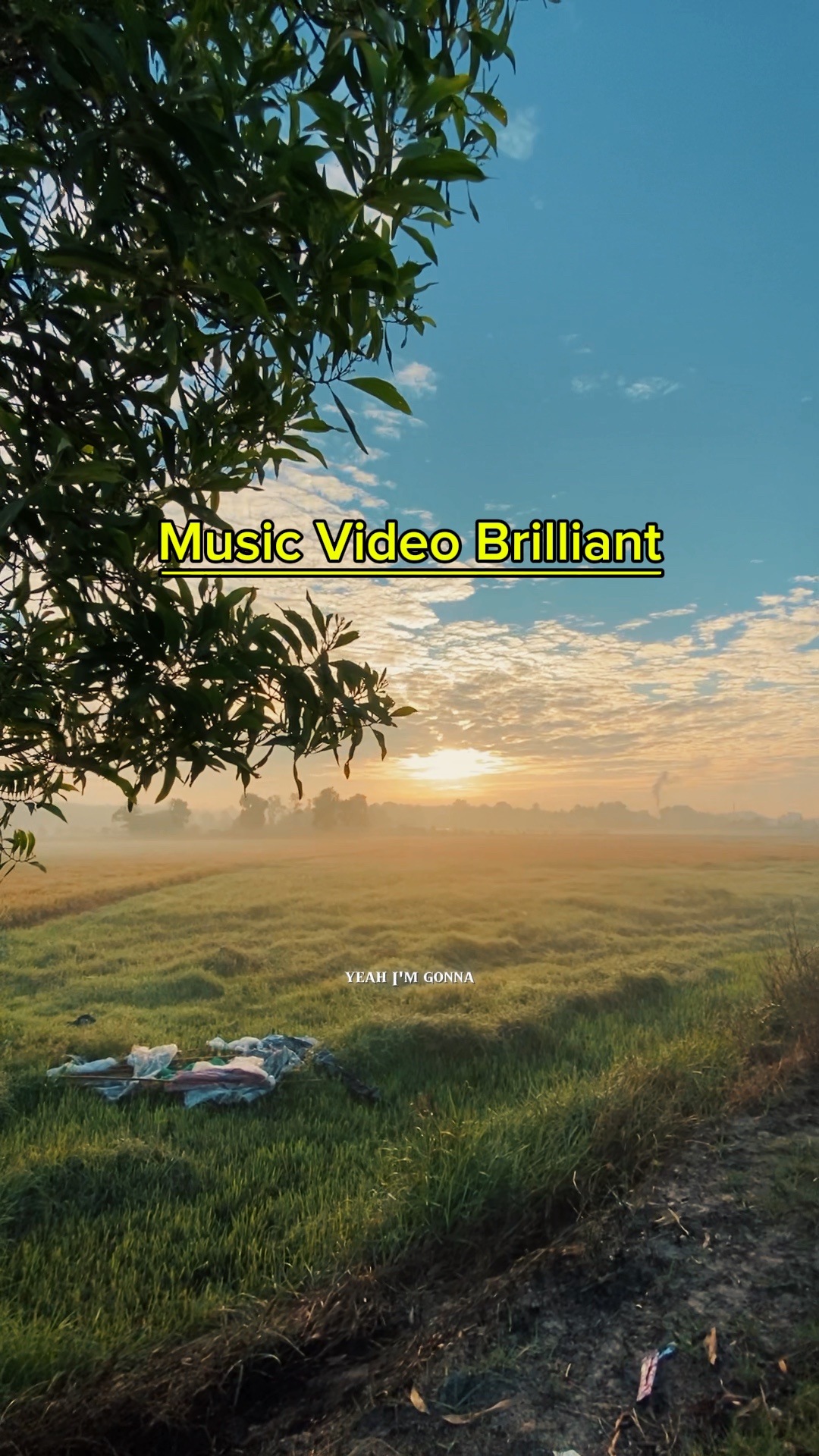 1 Video Brilliant