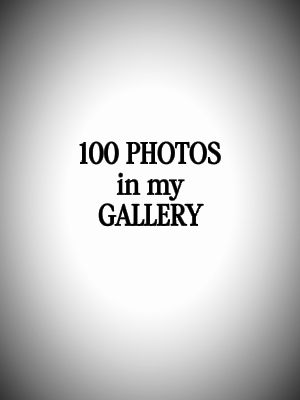 100 photos dans Galler