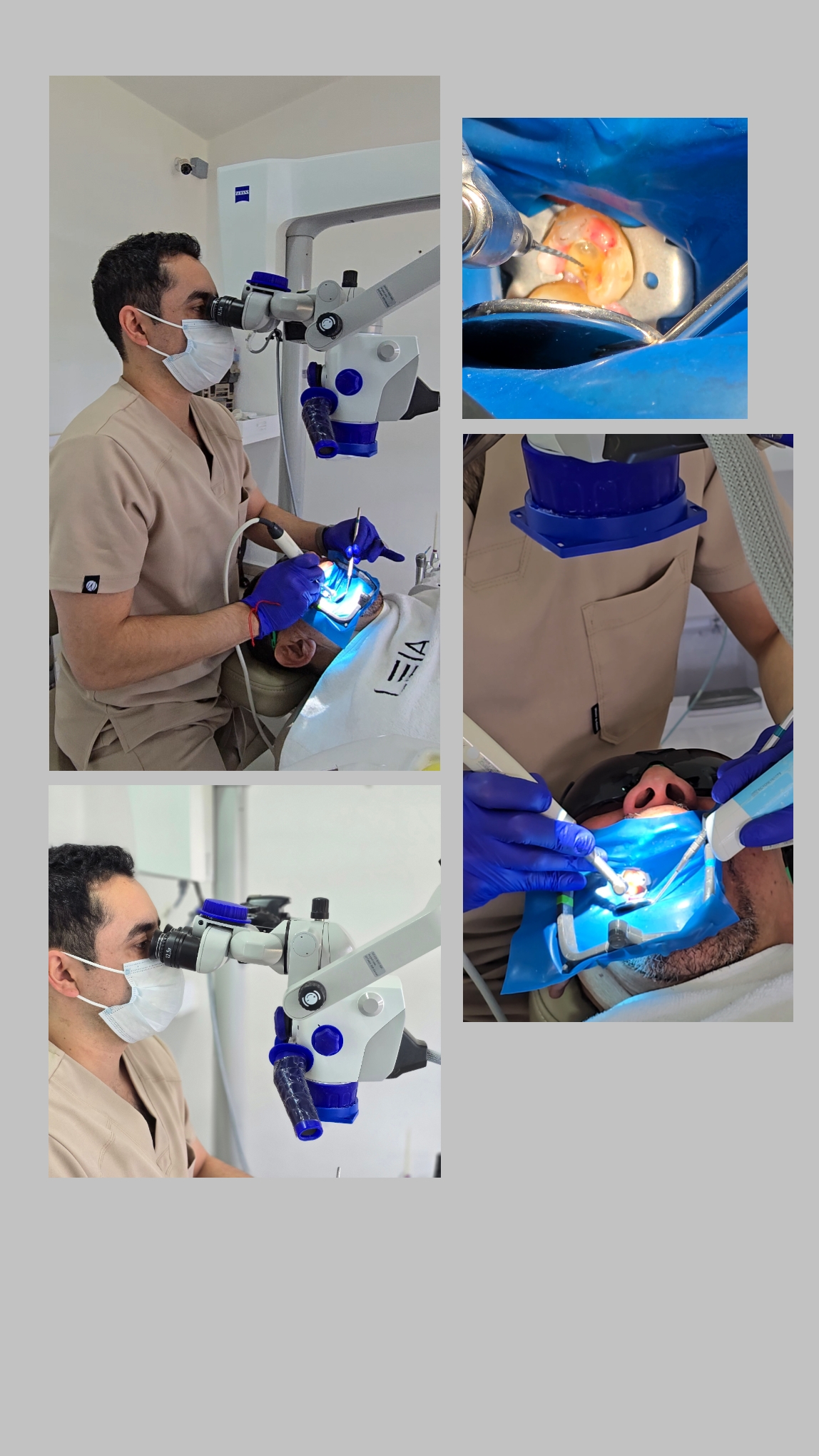 Dental Back