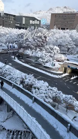 Snow Fall
