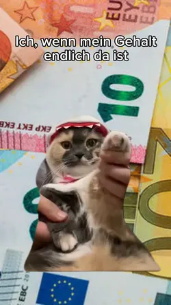 Katze tanzt meme