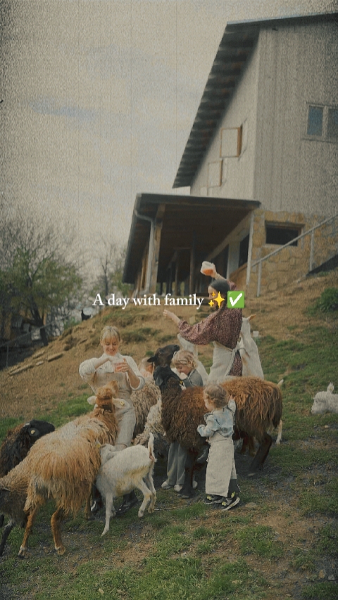 Family 