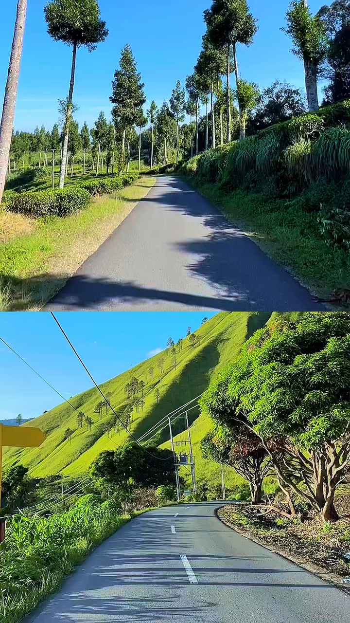 2 video collage hd