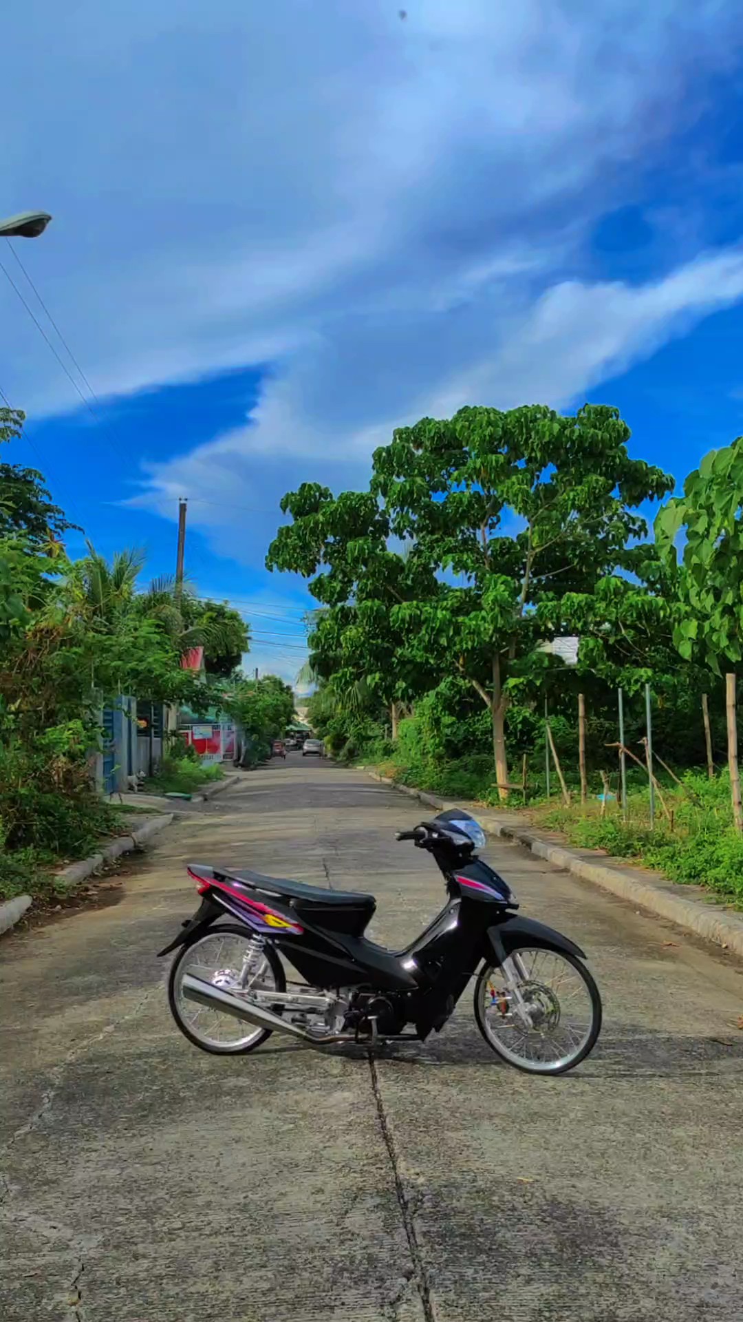 BICICLETA DE CALLE