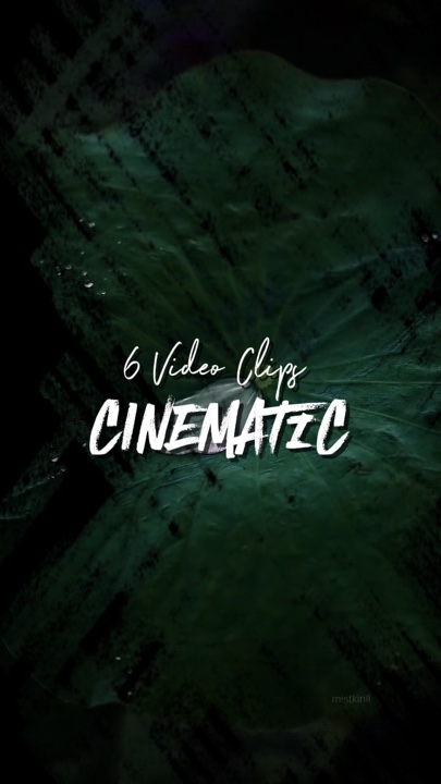 6 Klip Video