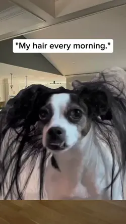 my hair every mornin