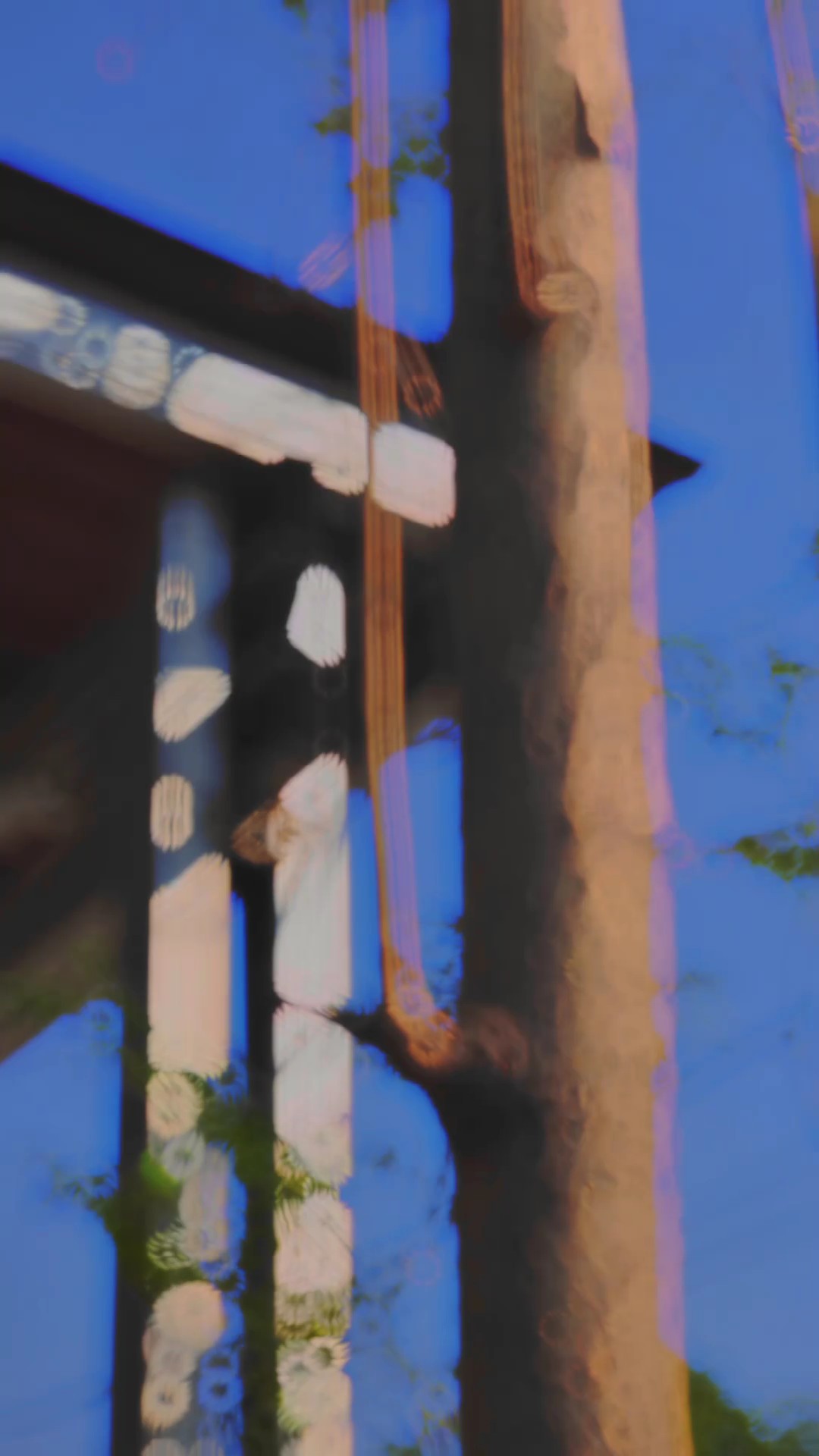 CINEMATIC 1 MENIT