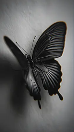 Sweet dreams