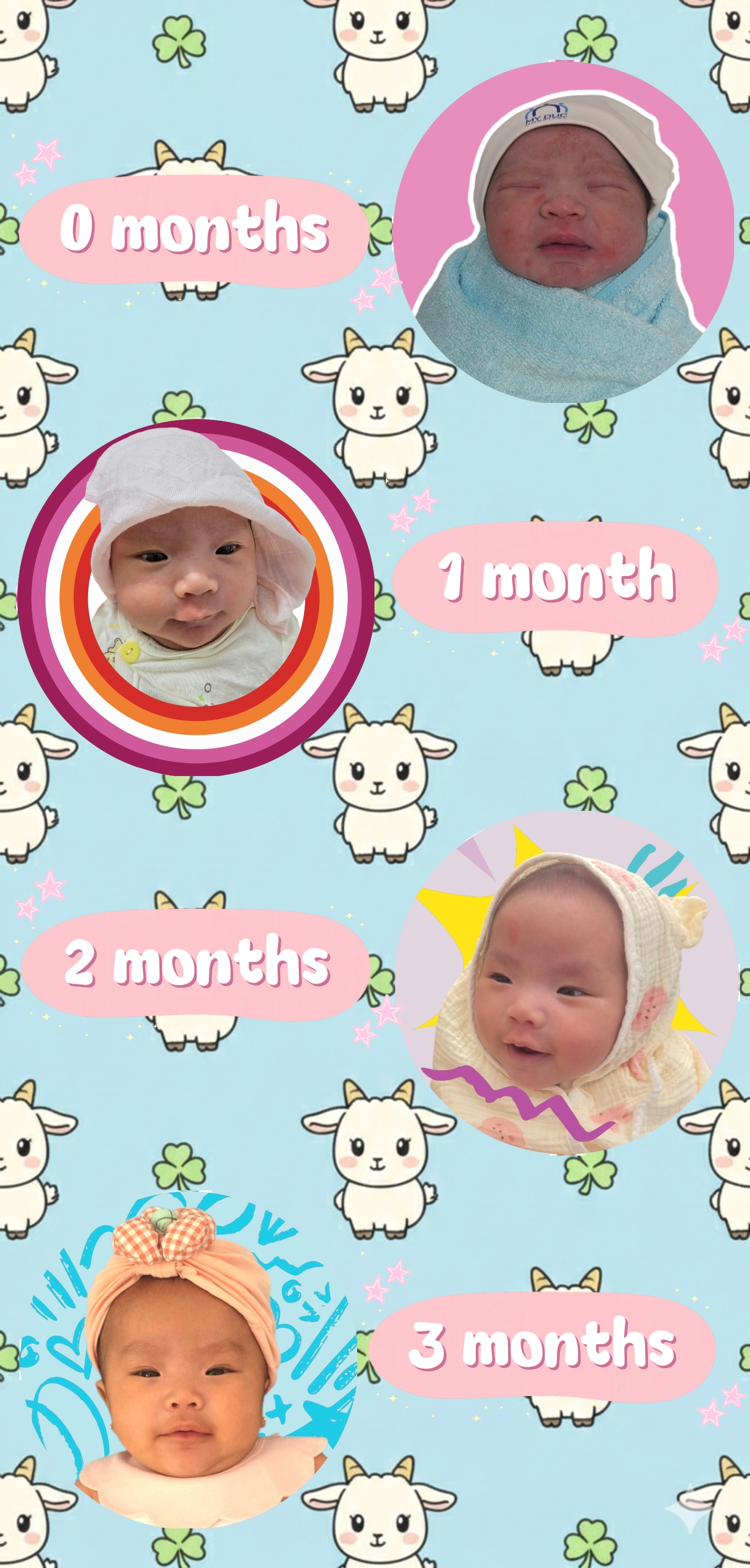 0-3 month goat baby