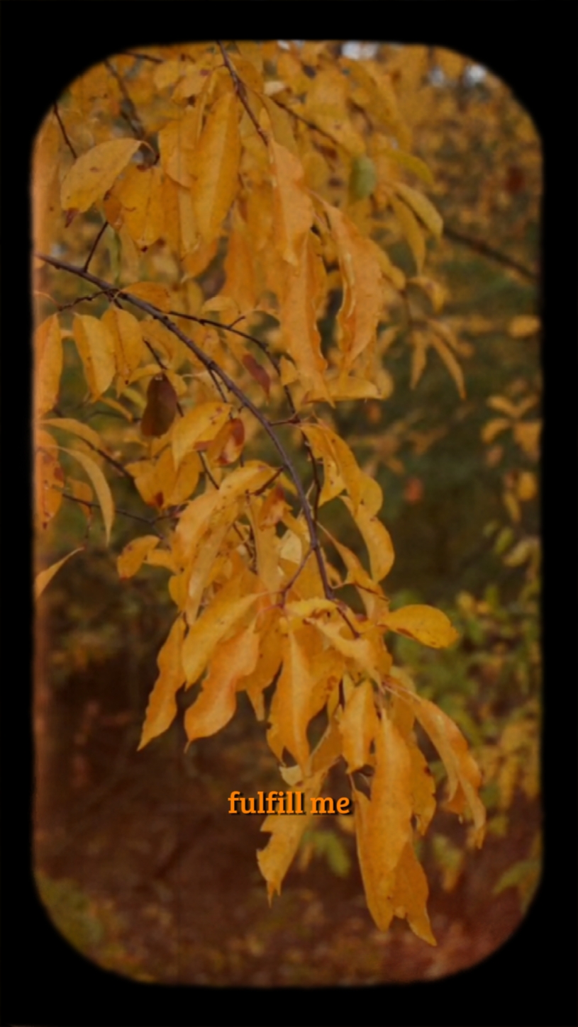 Autumn vibes