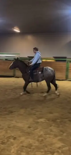 Horse fail