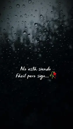 Pero sigo....