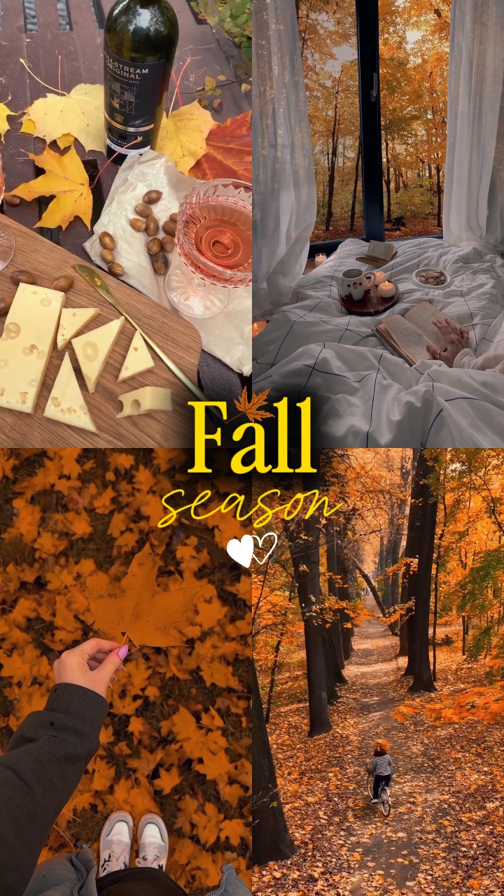 Saison d'automne 