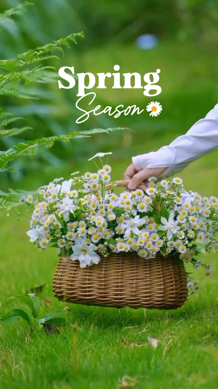spring season