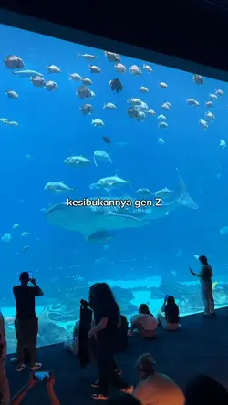 kesibukannya gen z
