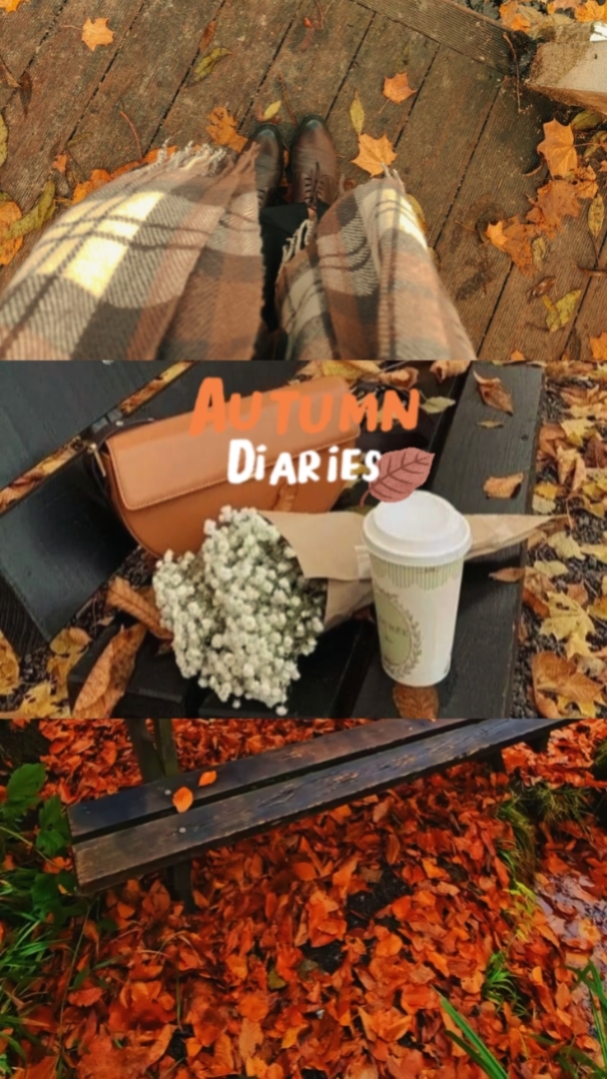 Autumn diaries