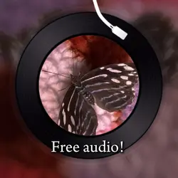 Free audio!