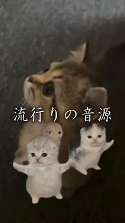 流行りの音源