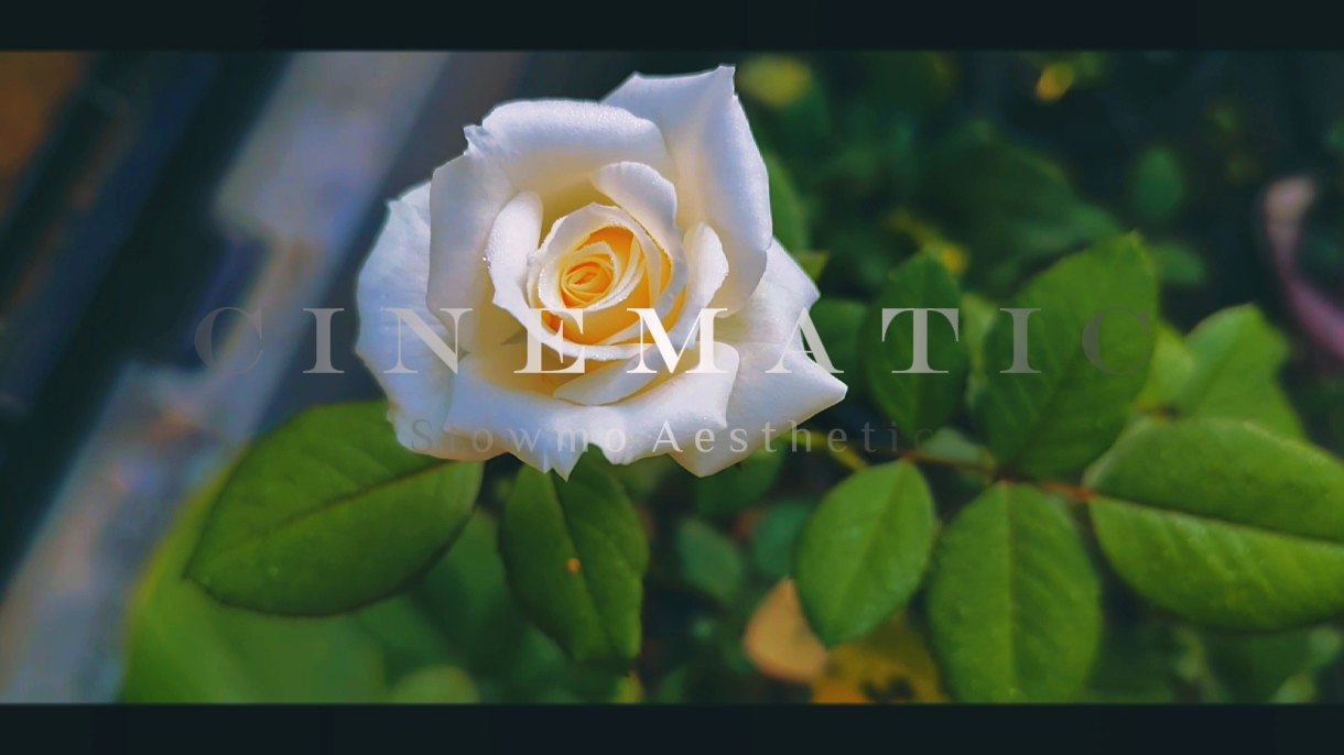Cinematic slow