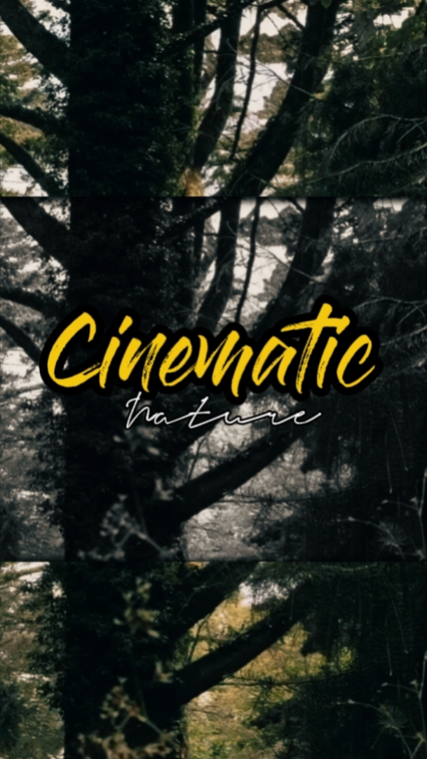 Naturaleza cinematográfica 