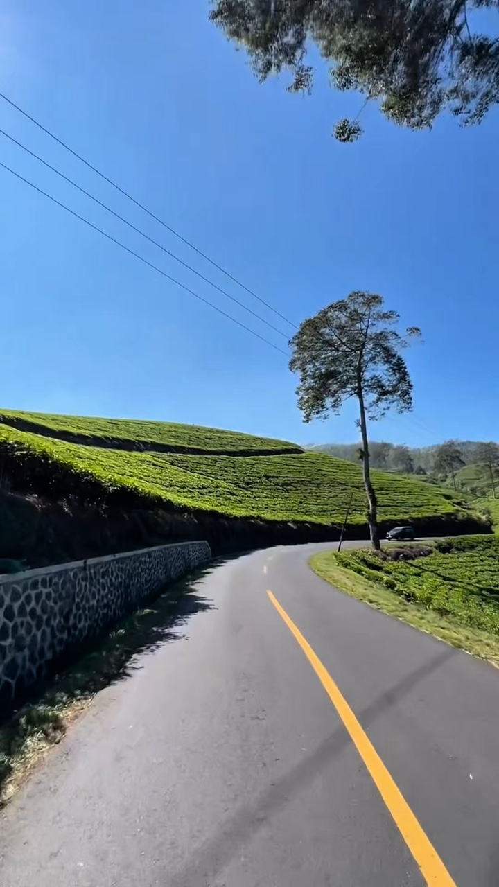 Viaje por carretera