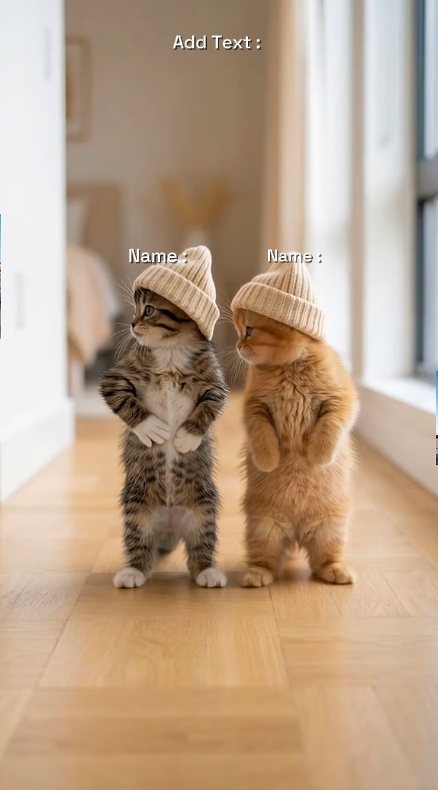 Gato Divertido... 