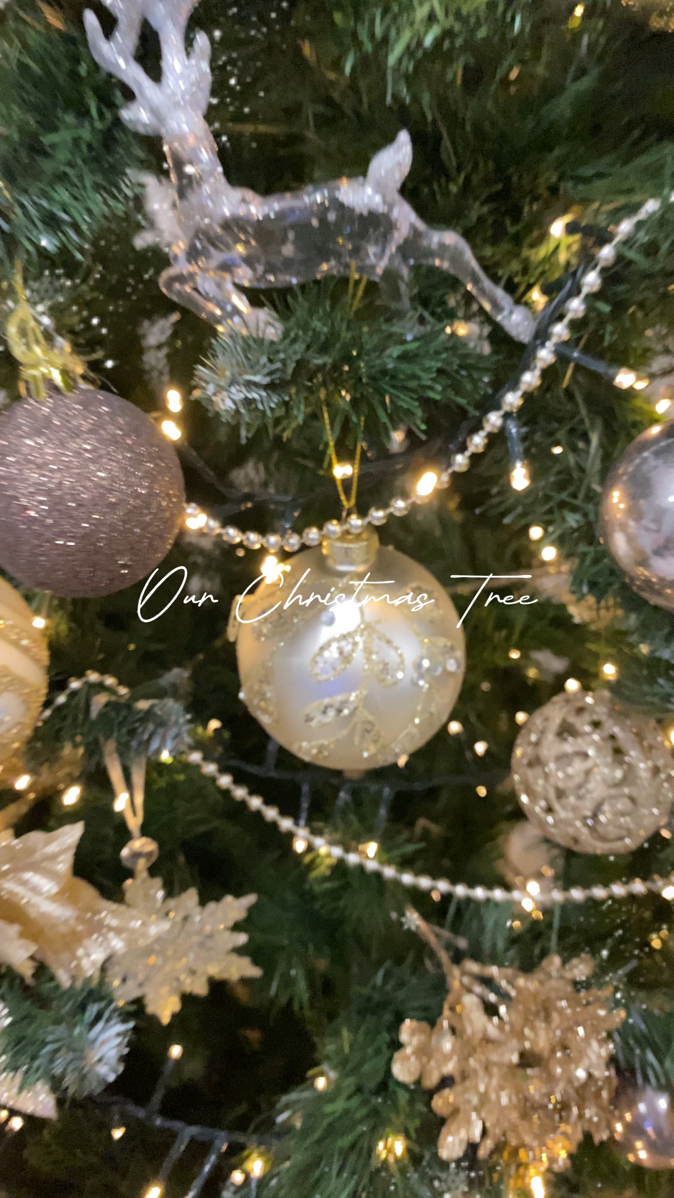 Pohon Natal
