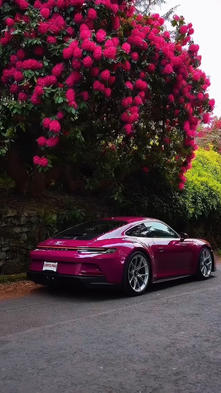 Porsche🩷