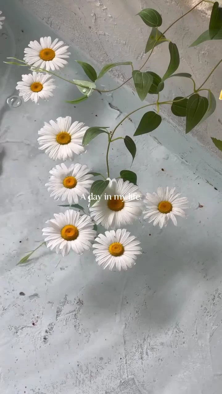 aday in my life²⁵⁷