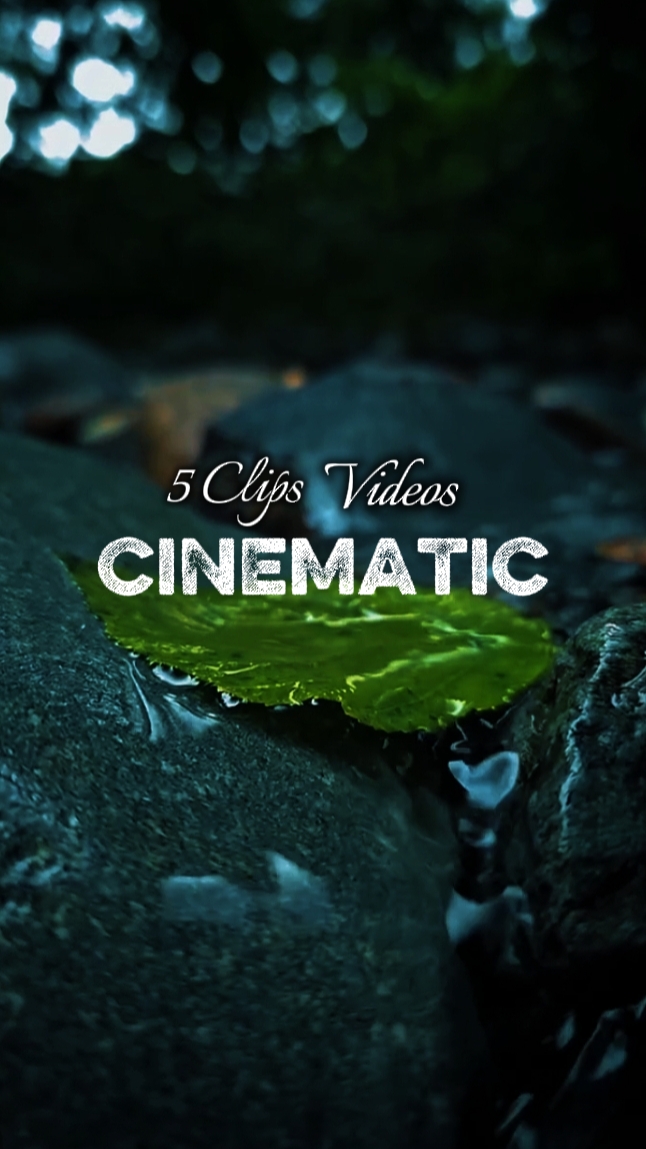 Cinematic Aesthetic