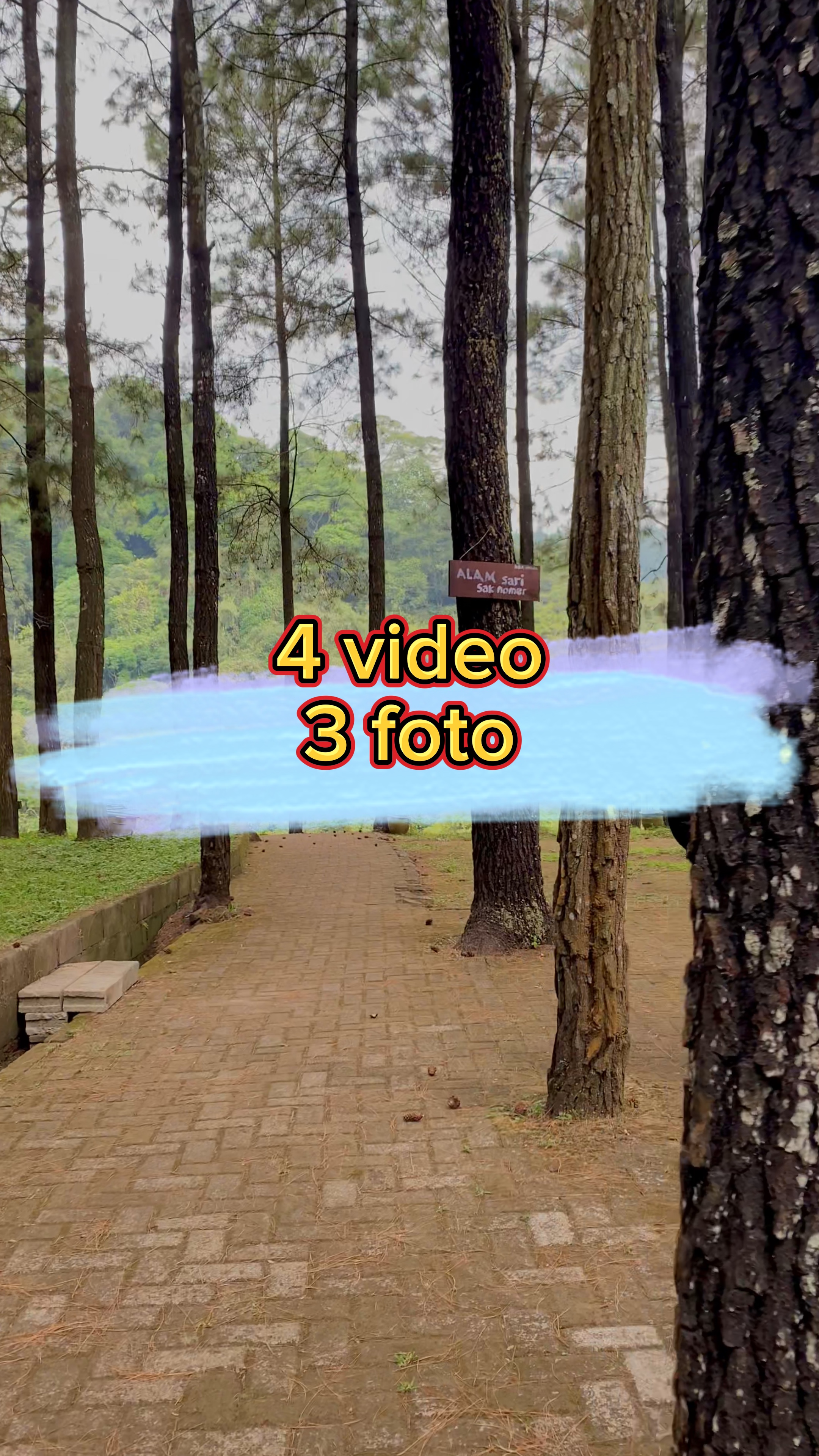 4 video 3 foto