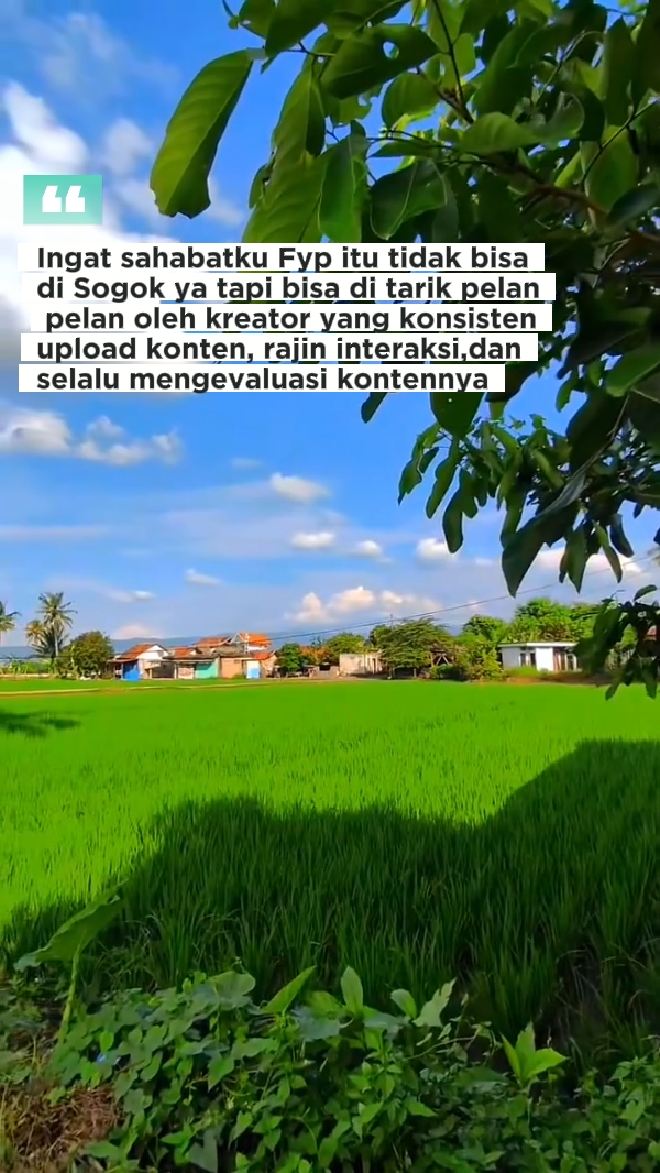 konten fb pro 