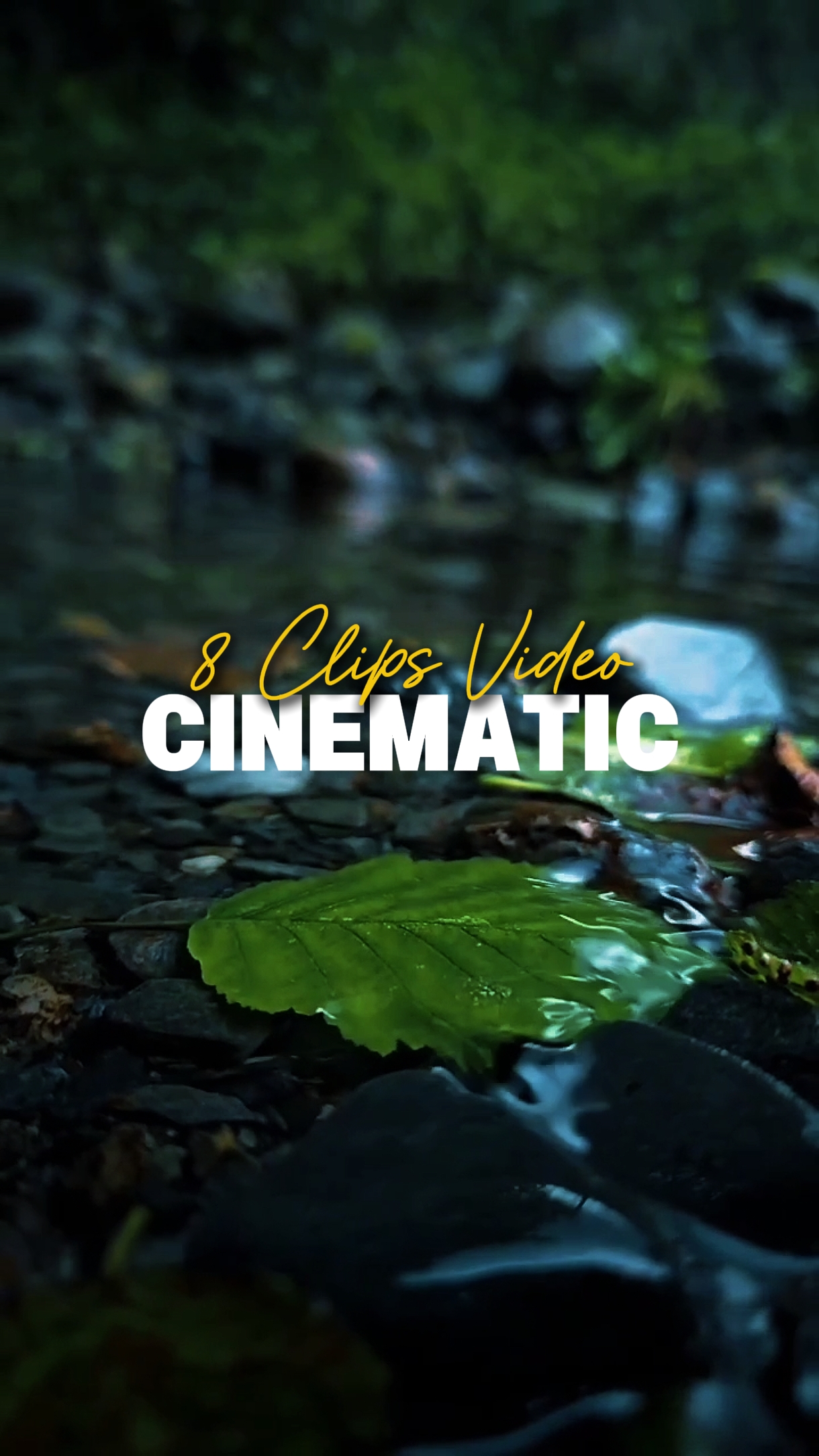 8 Clips Video 
