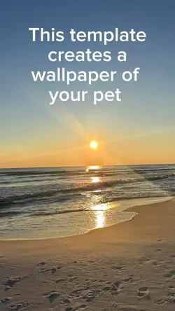 pet wallpaper