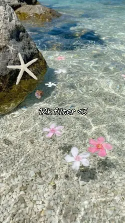 12k filter 