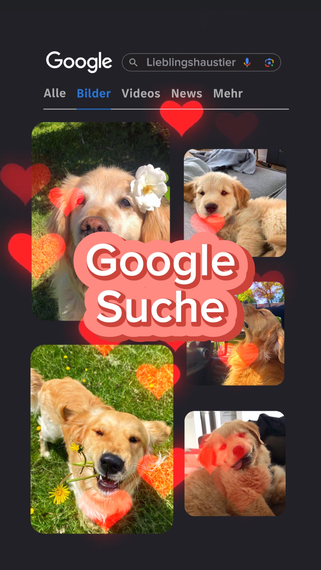 Suche de Google 