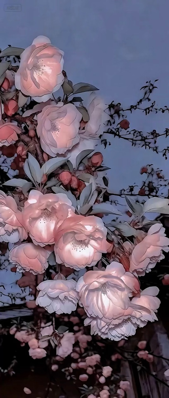 wallpaper 3d