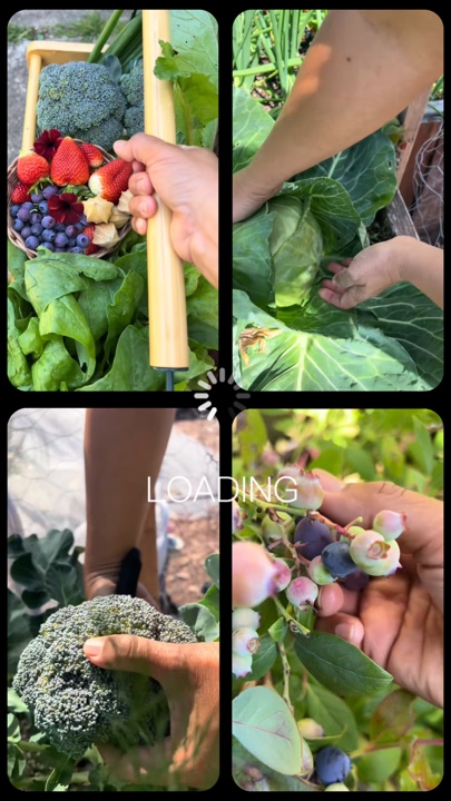 Berkebun