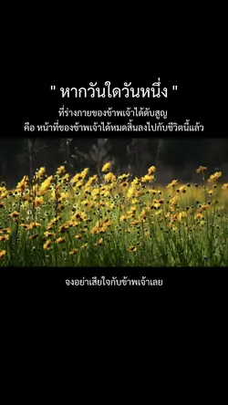 อย่าเสียใจอีกเลย