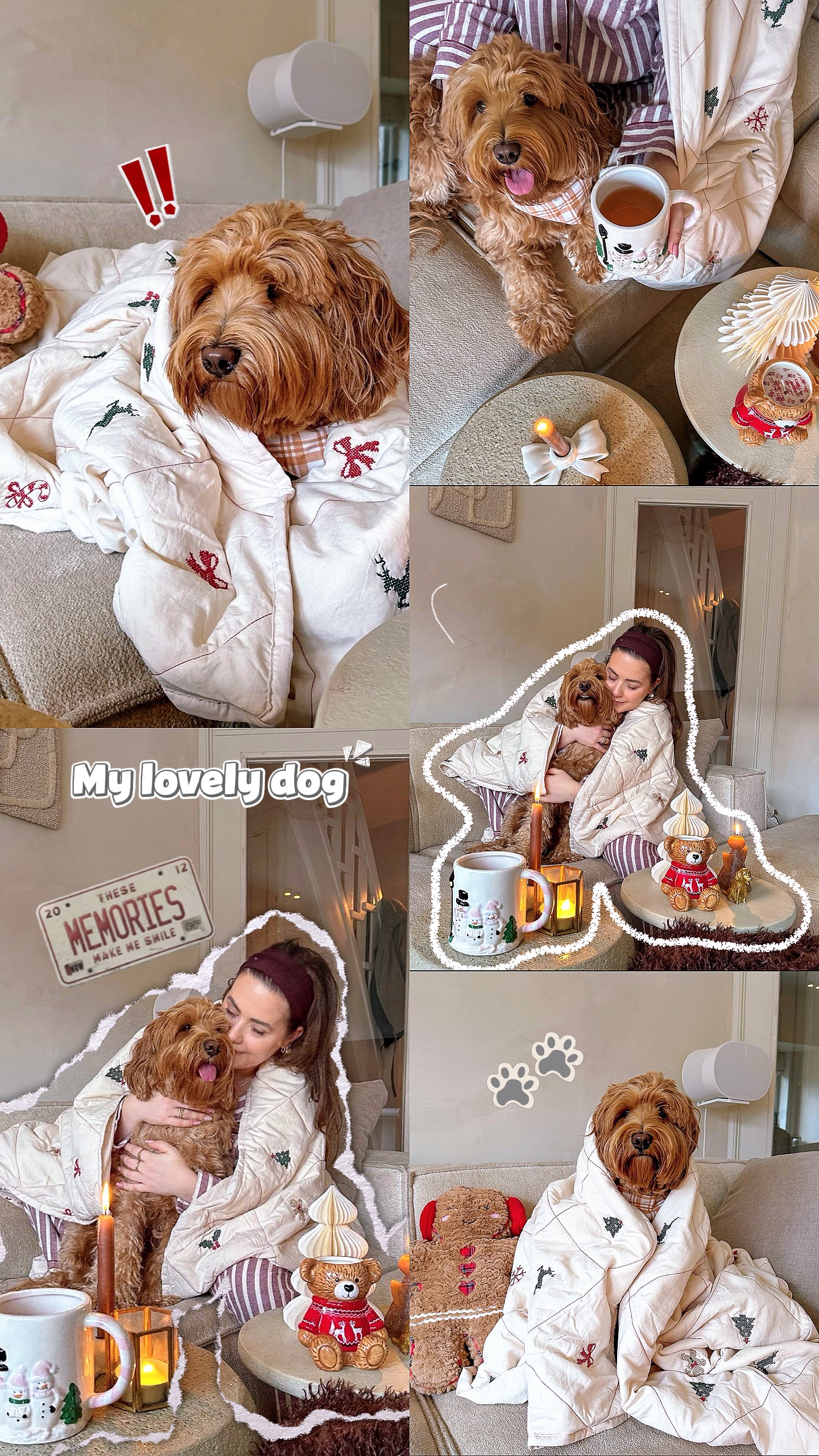My lovely dog 