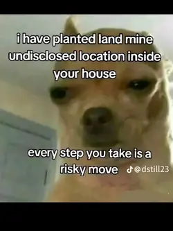 Dogs mines