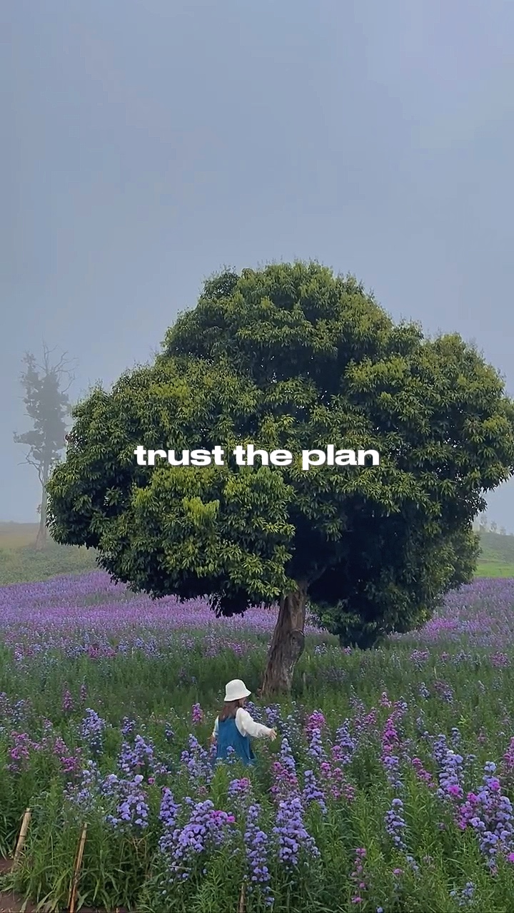 Confía en el plan