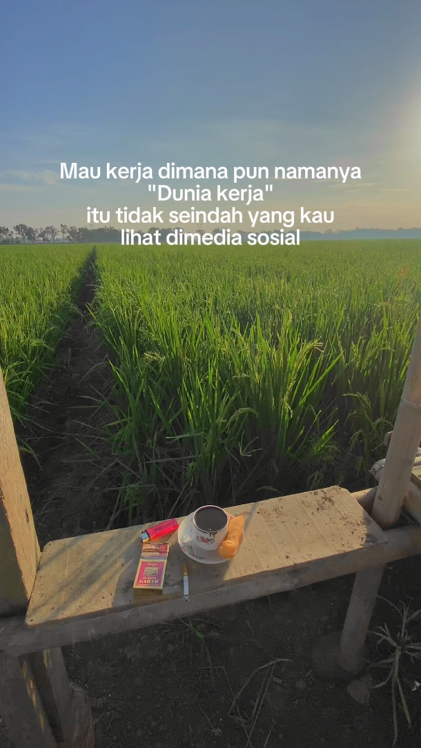 Dunia kerja