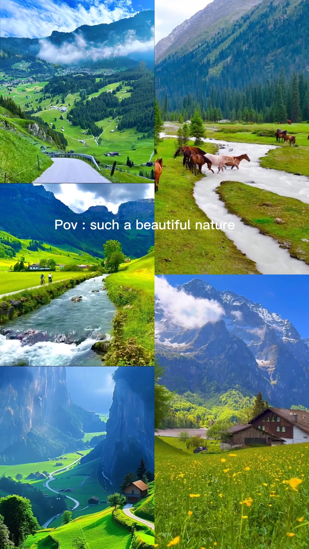 Hermosa naturaleza