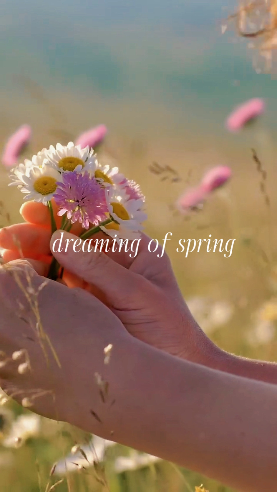 Pangarap ng Spring 