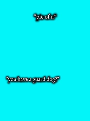 Wachhund 