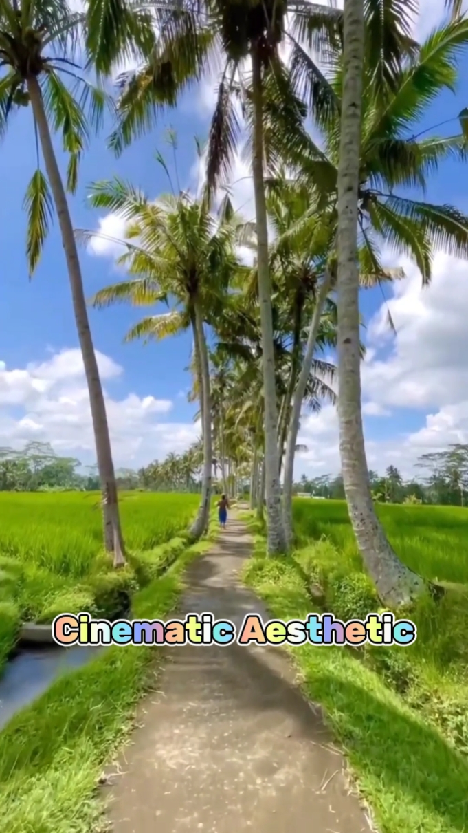Estética Cinemática