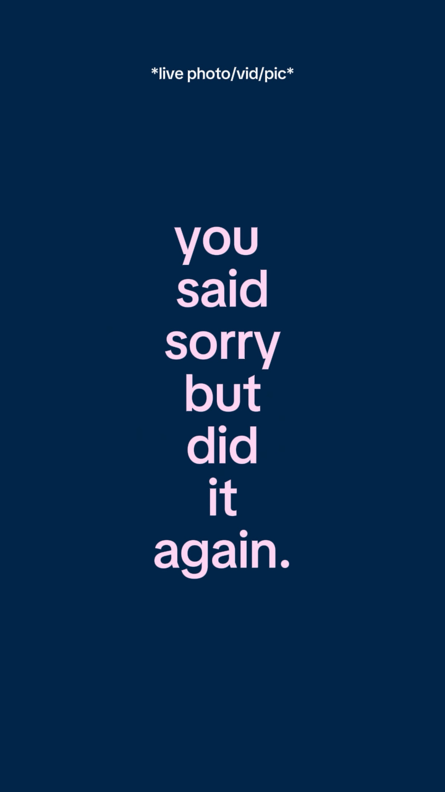 Yousaidsorrybutdidit