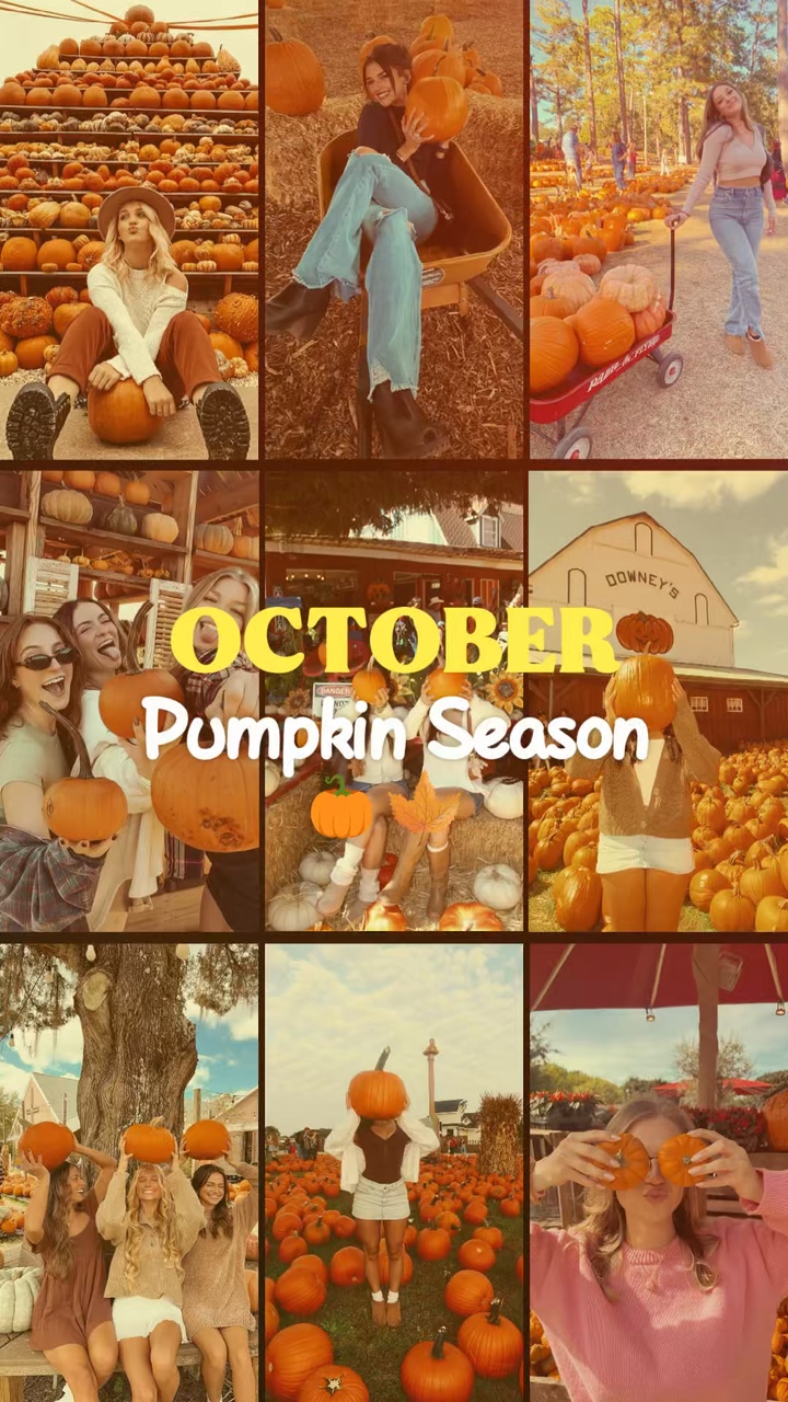 Pumpkin season 